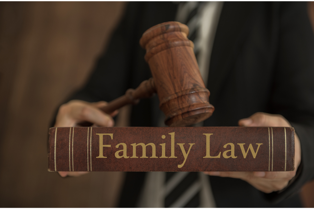 What Is Included in Family Law Matters